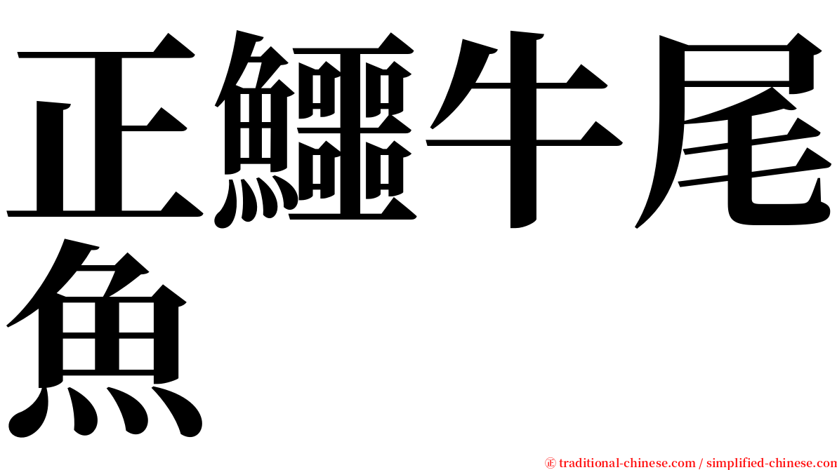 正鱷牛尾魚 serif font