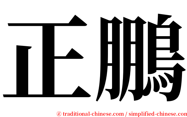 正鵬 serif font