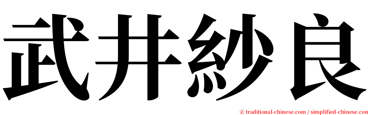 武井紗良 serif font