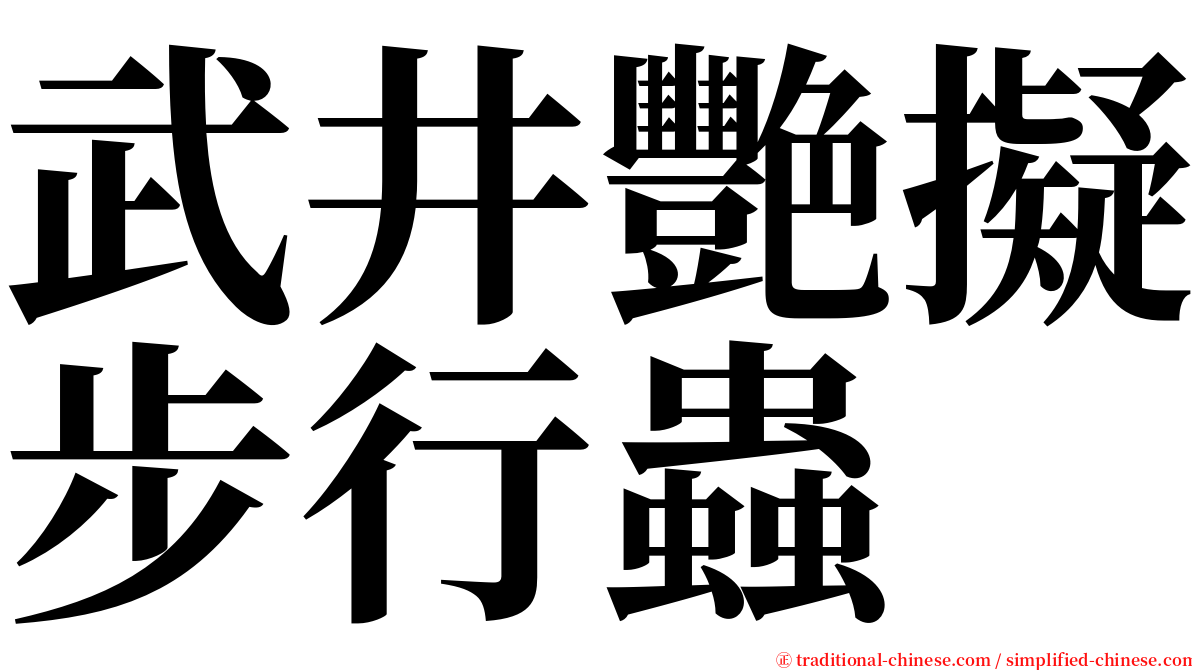 武井艷擬步行蟲 serif font