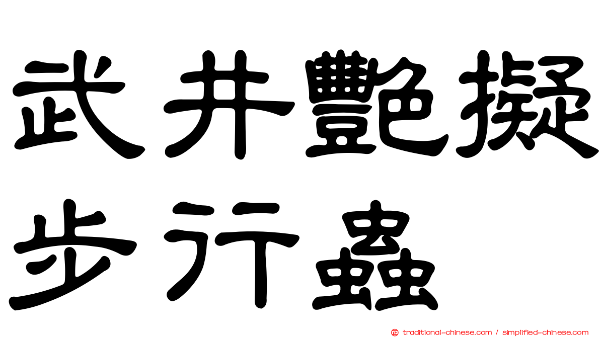 武井艷擬步行蟲