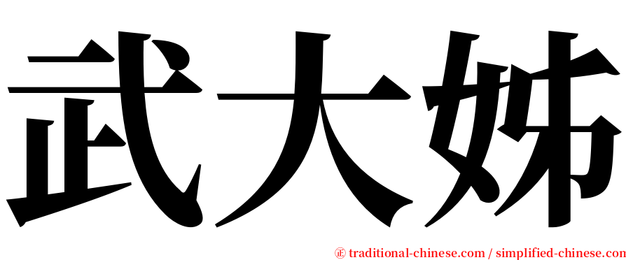 武大姊 serif font