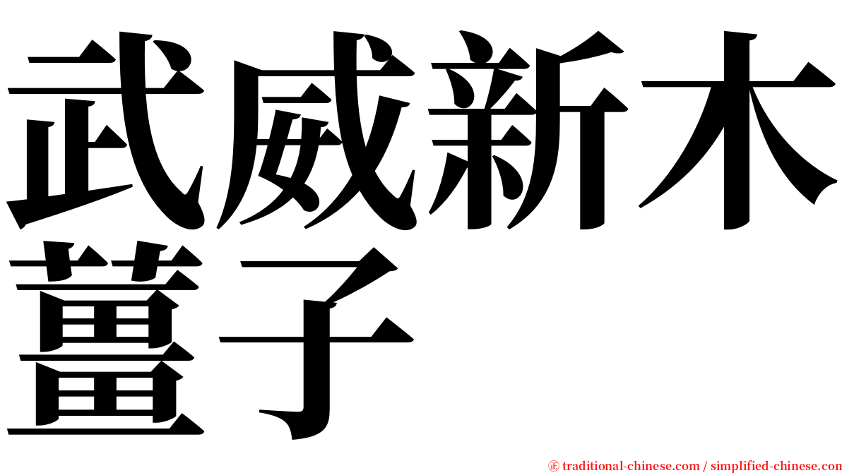 武威新木薑子 serif font