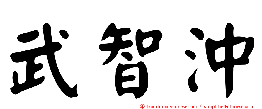 武智沖