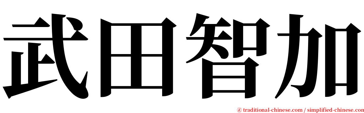 武田智加 serif font