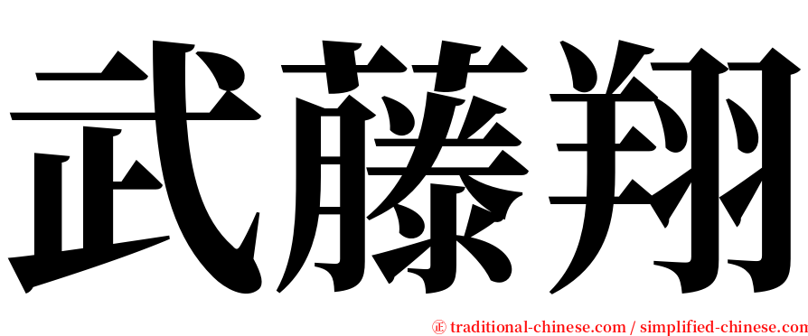 武藤翔 serif font