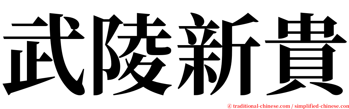 武陵新貴 serif font