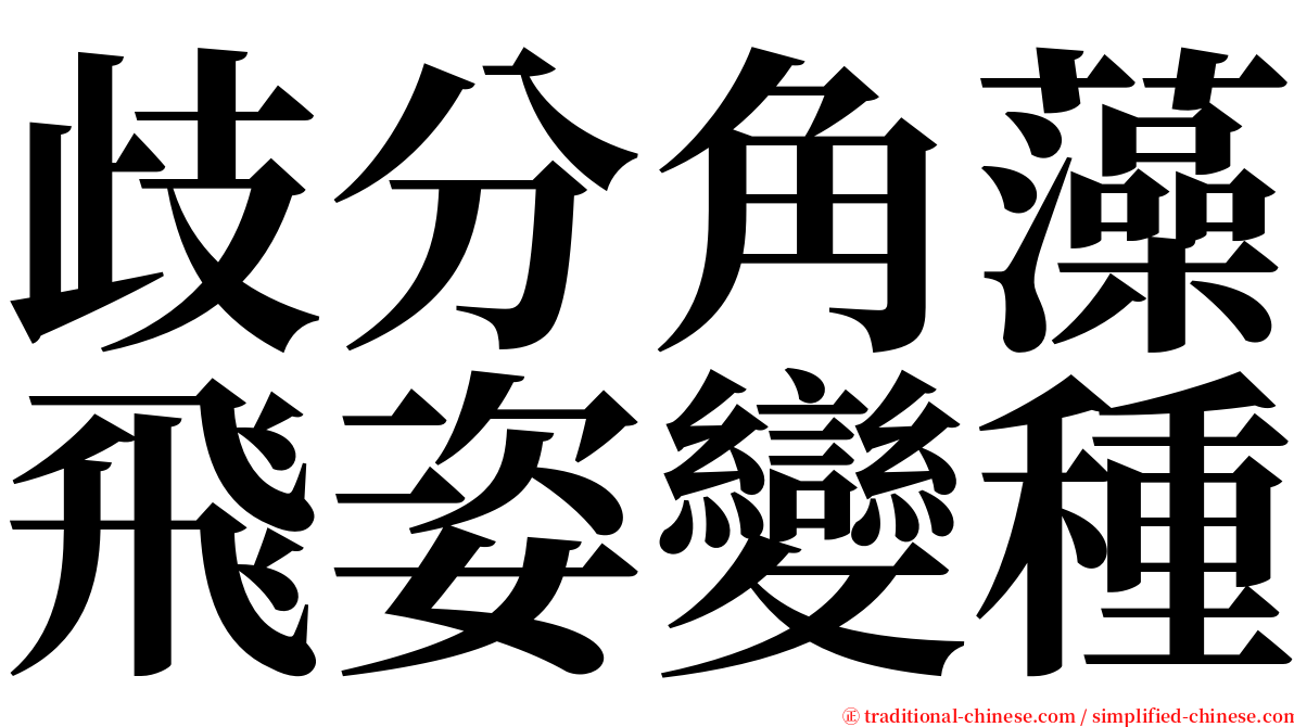 歧分角藻飛姿變種 serif font