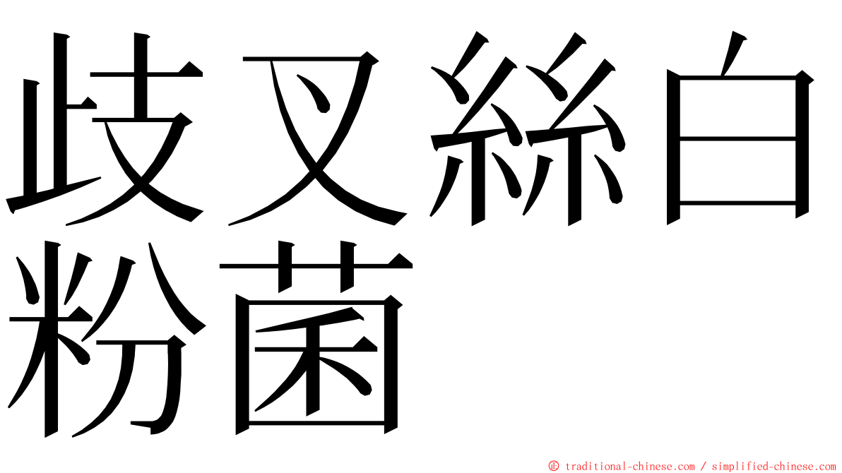 歧叉絲白粉菌 ming font