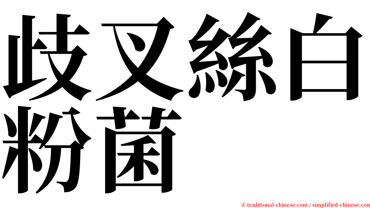 歧叉絲白粉菌 serif font