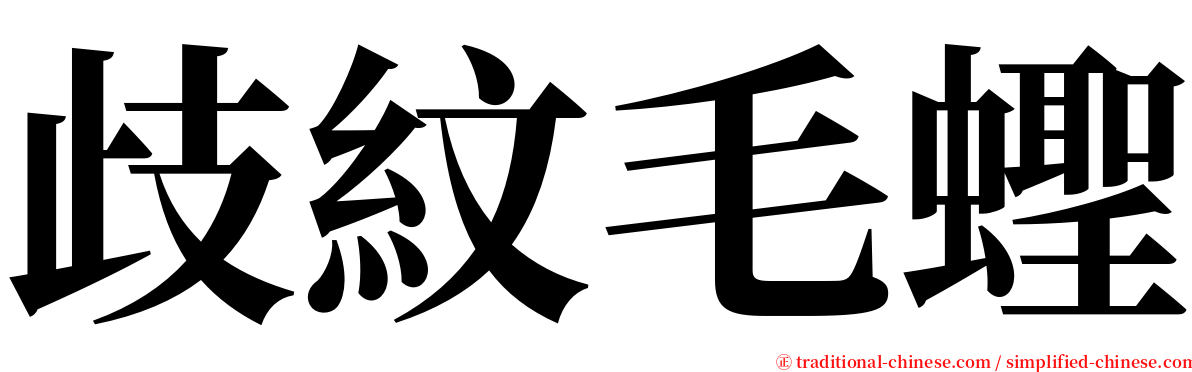 歧紋毛蟶 serif font