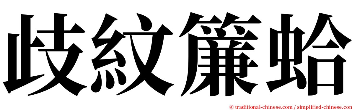 歧紋簾蛤 serif font