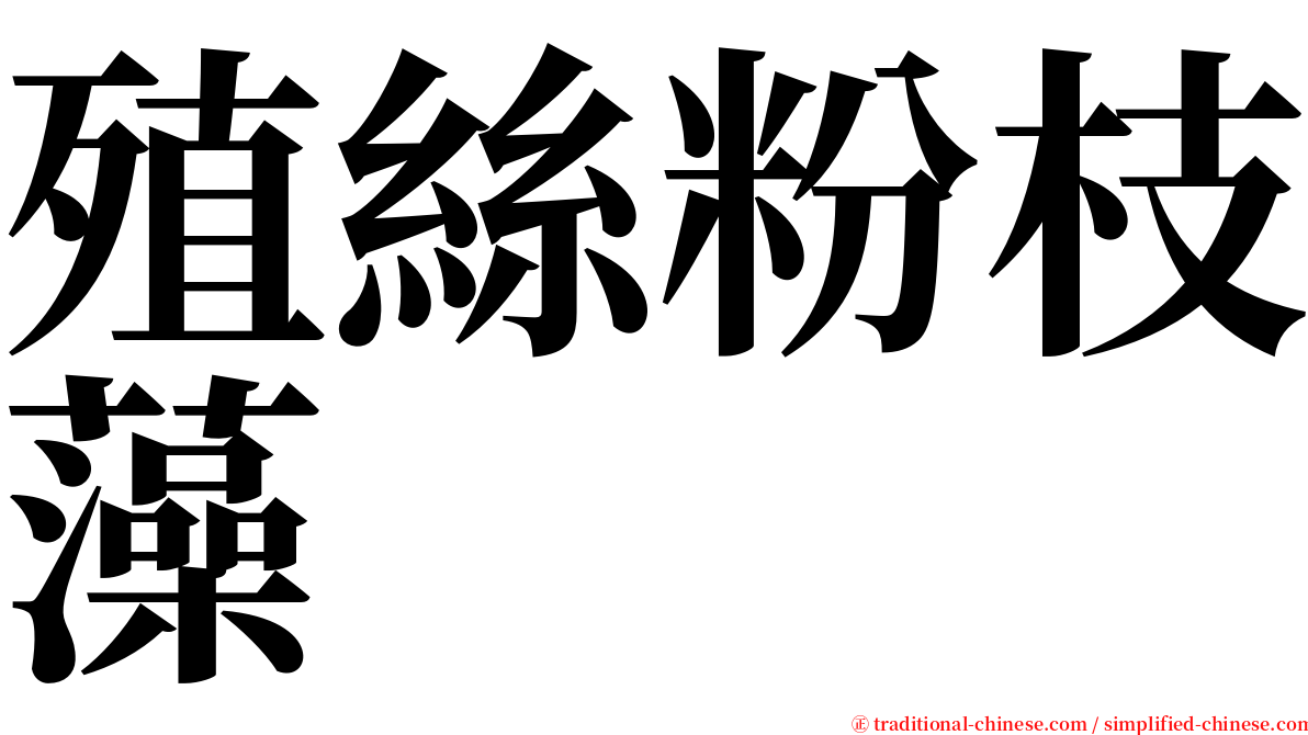 殖絲粉枝藻 serif font