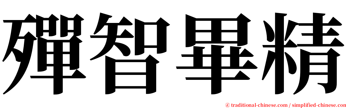 殫智畢精 serif font