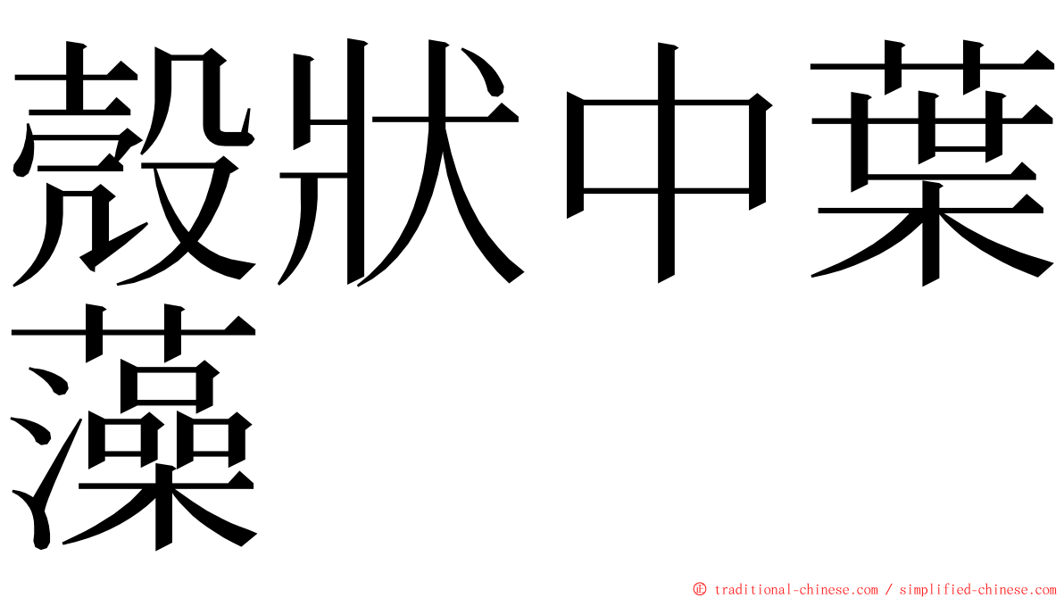 殼狀中葉藻 ming font