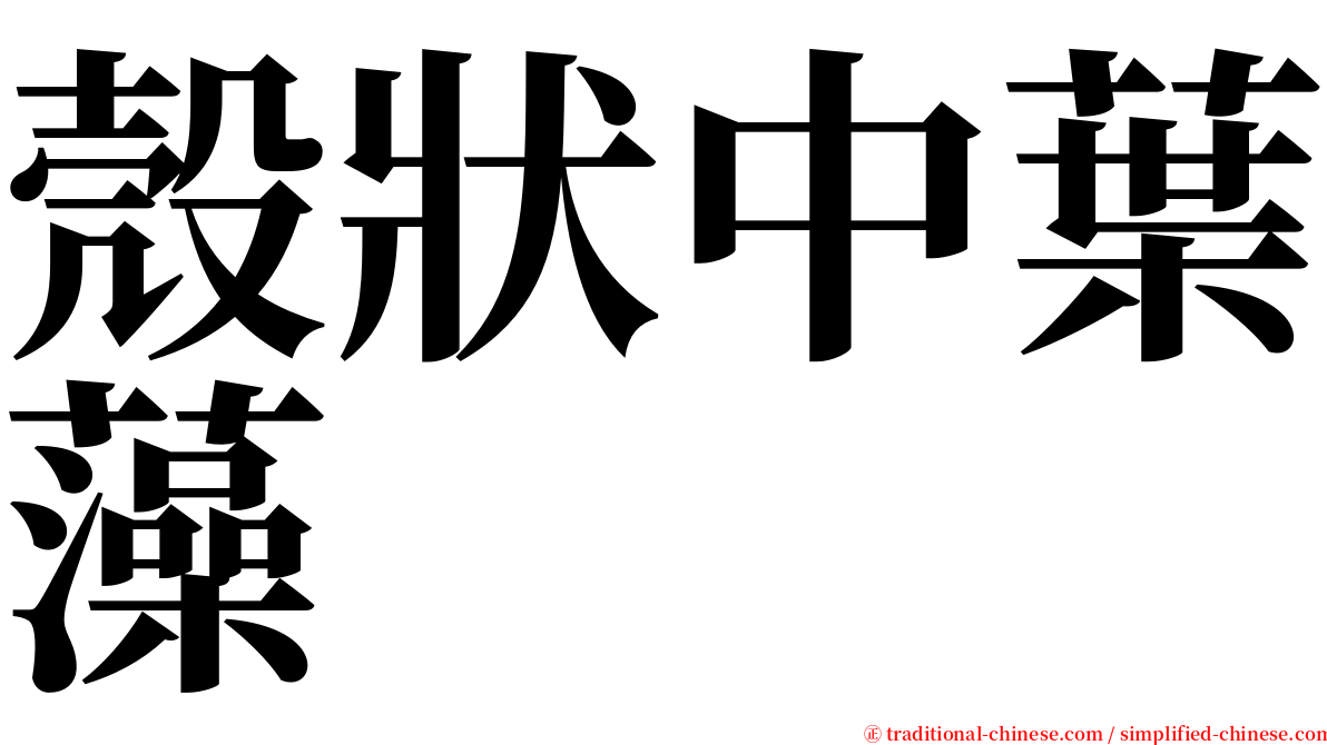 殼狀中葉藻 serif font