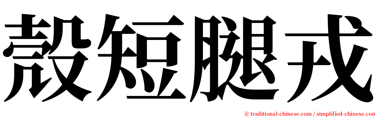 殼短腿戎 serif font