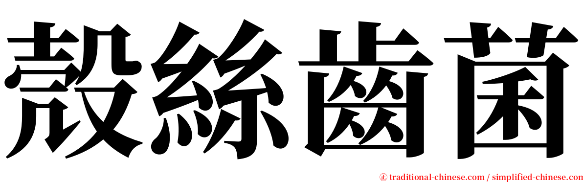 殼絲齒菌 serif font