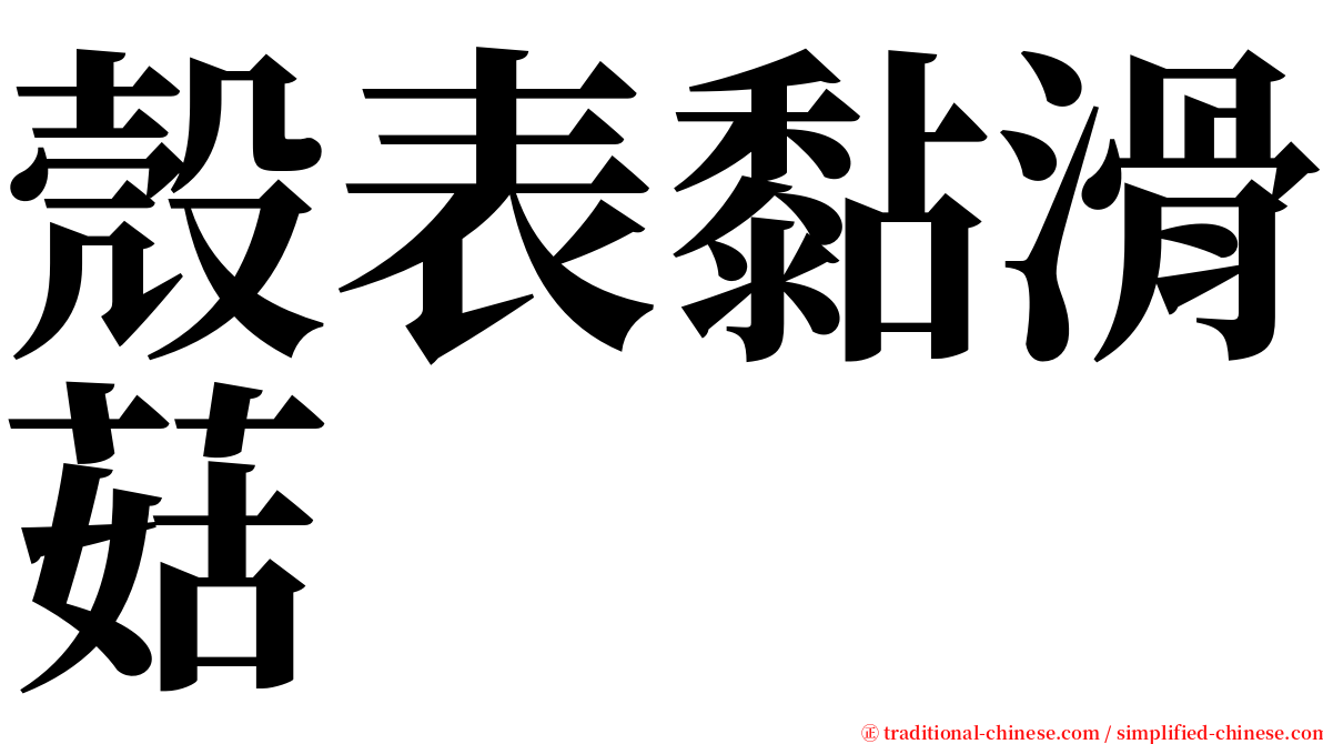 殼表黏滑菇 serif font