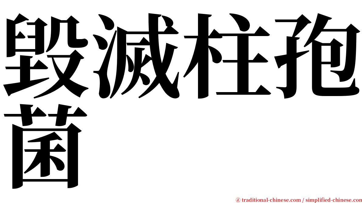 毀滅柱孢菌 serif font