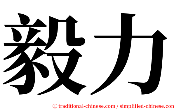 毅力 serif font