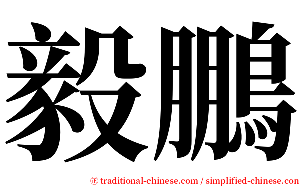 毅鵬 serif font