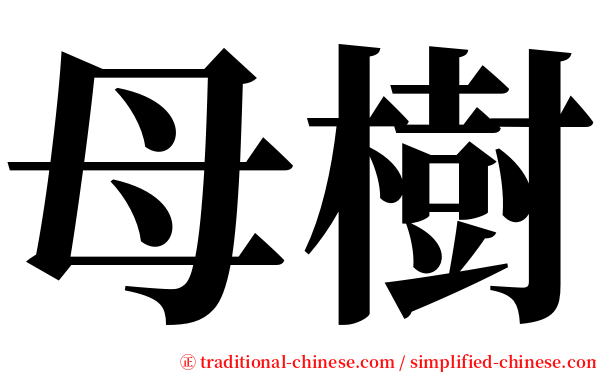 母樹 serif font