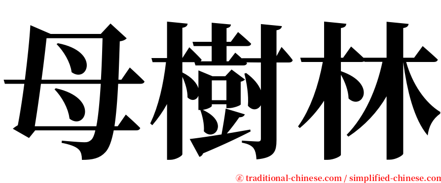 母樹林 serif font