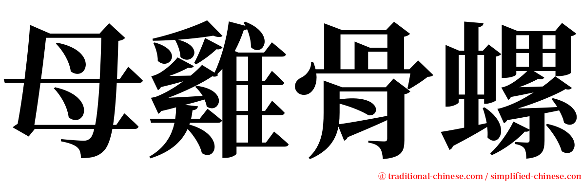 母雞骨螺 serif font