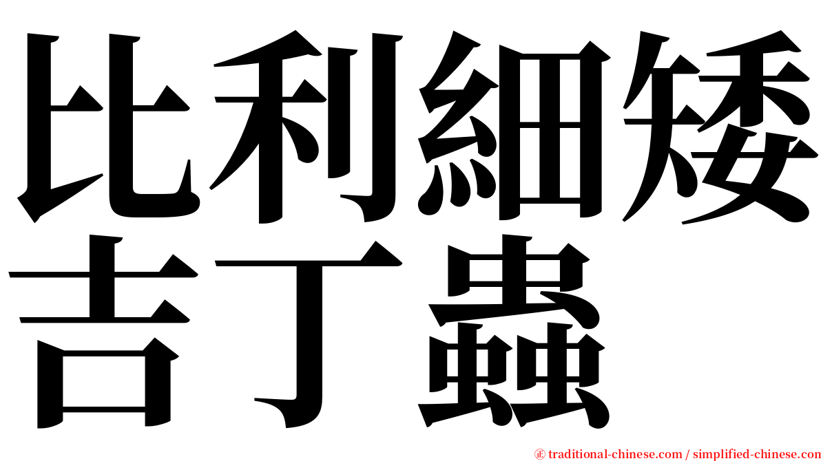 比利細矮吉丁蟲 serif font