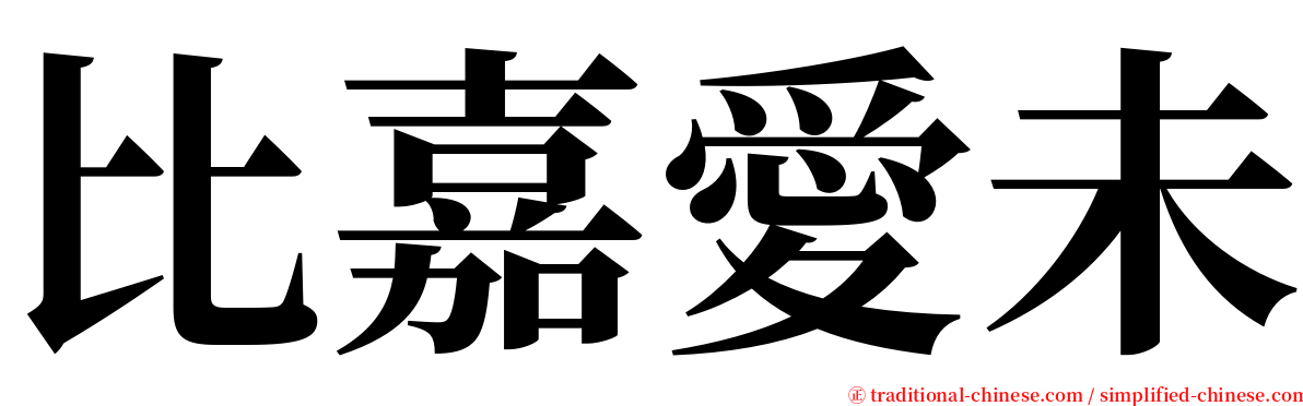 比嘉愛未 serif font