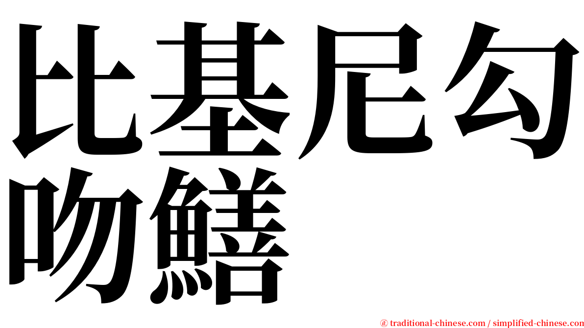 比基尼勾吻鱔 serif font