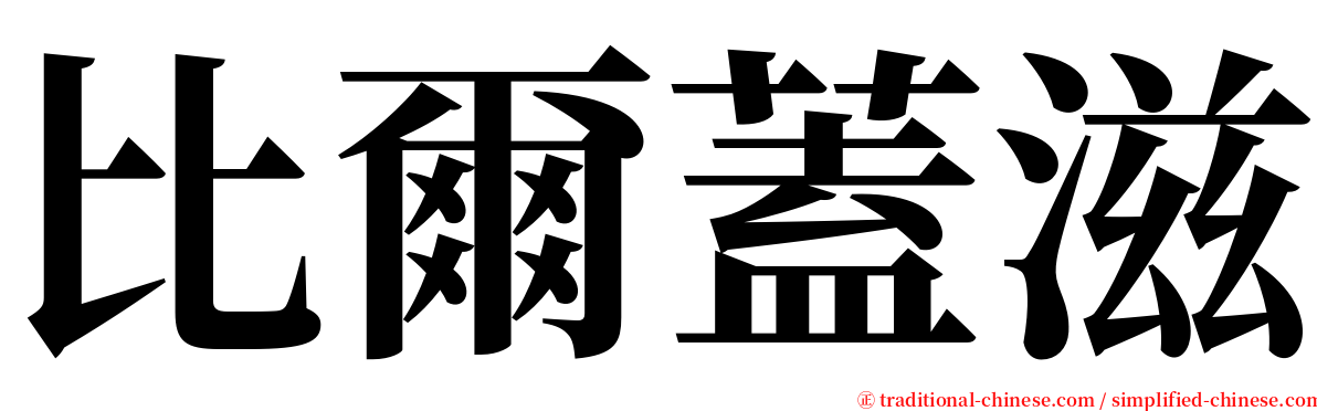 比爾蓋滋 serif font