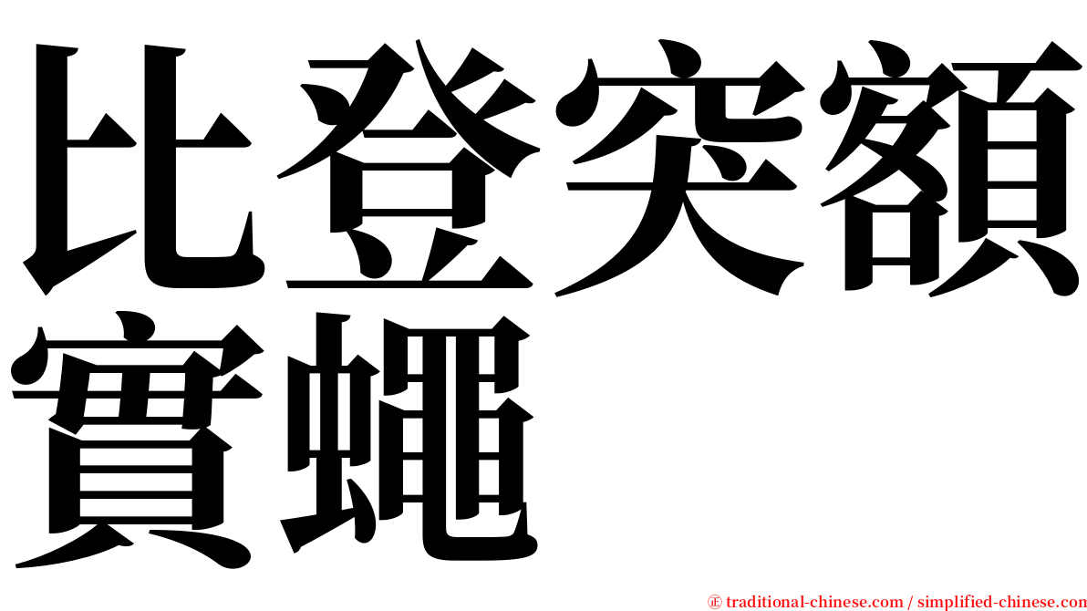 比登突額實蠅 serif font