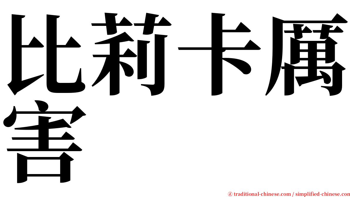 比莉卡厲害 serif font