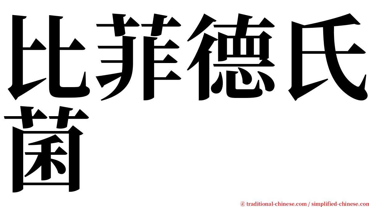 比菲德氏菌 serif font