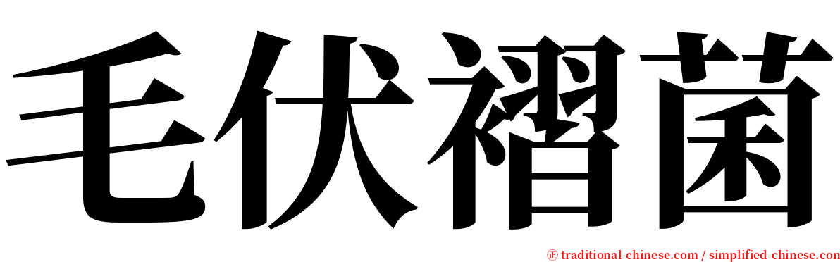 毛伏褶菌 serif font