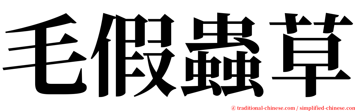 毛假蟲草 serif font