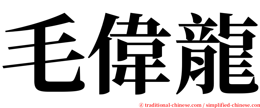 毛偉龍 serif font