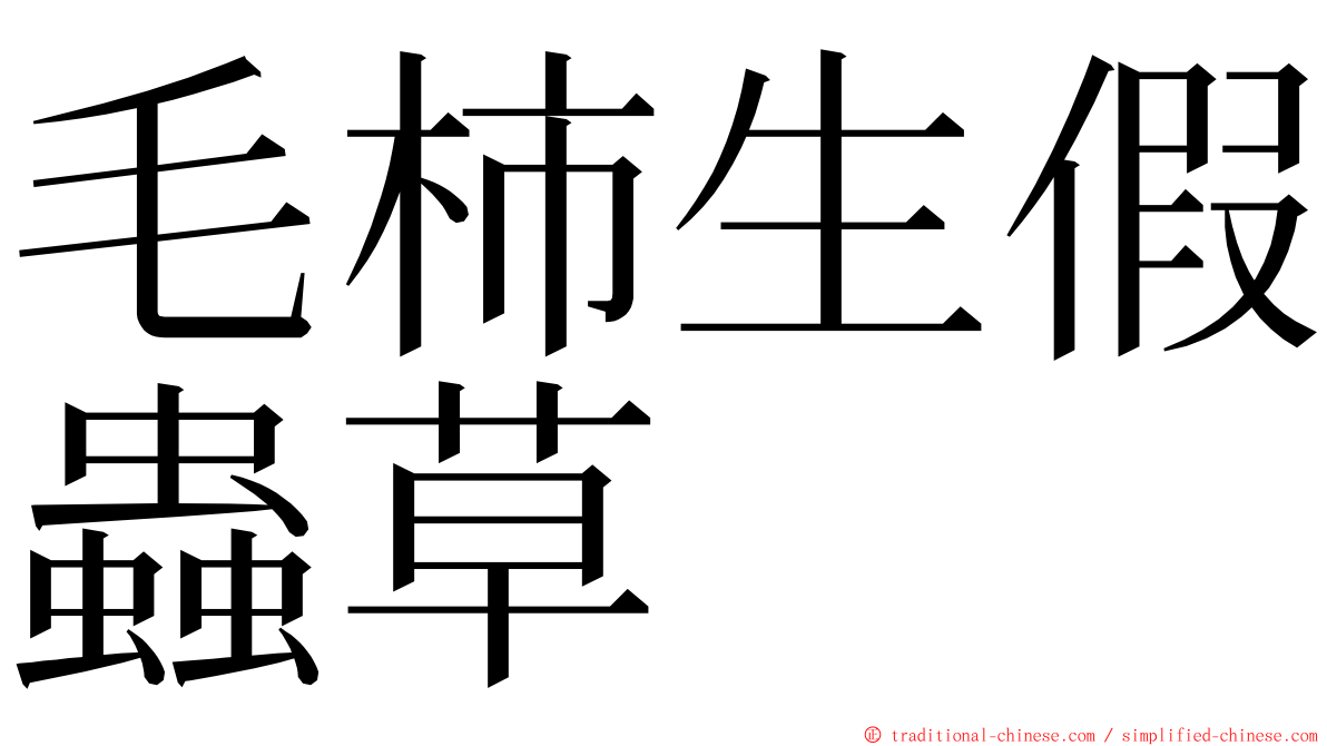 毛柿生假蟲草 ming font