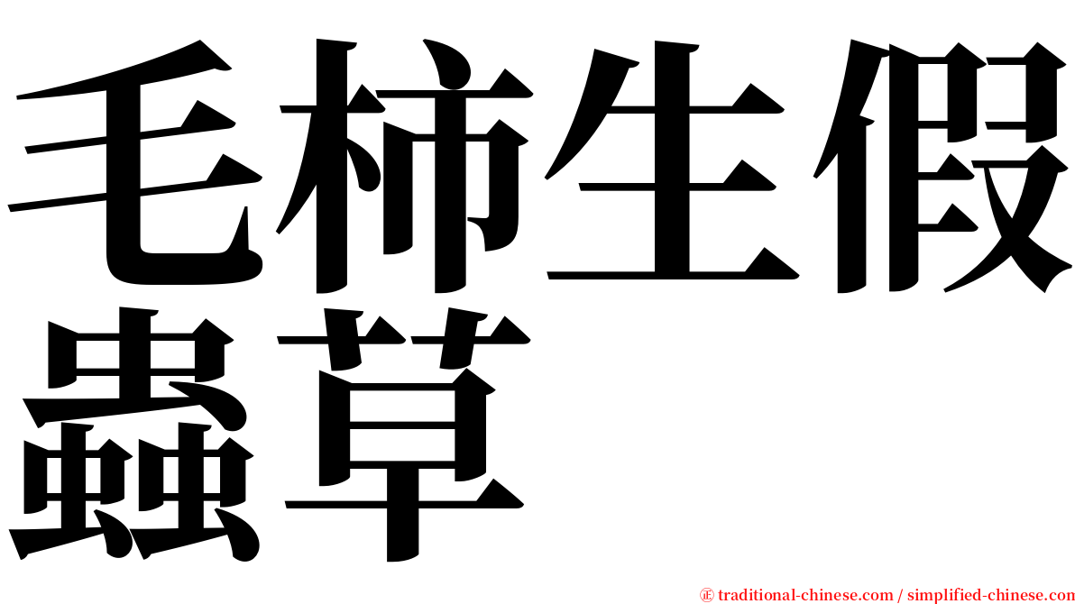 毛柿生假蟲草 serif font