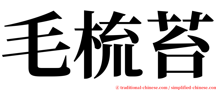 毛梳苔 serif font