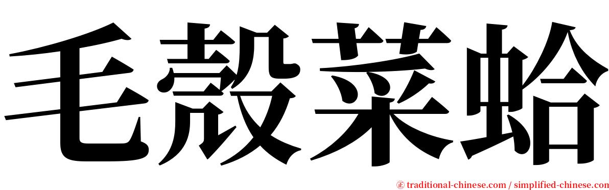 毛殼菜蛤 serif font