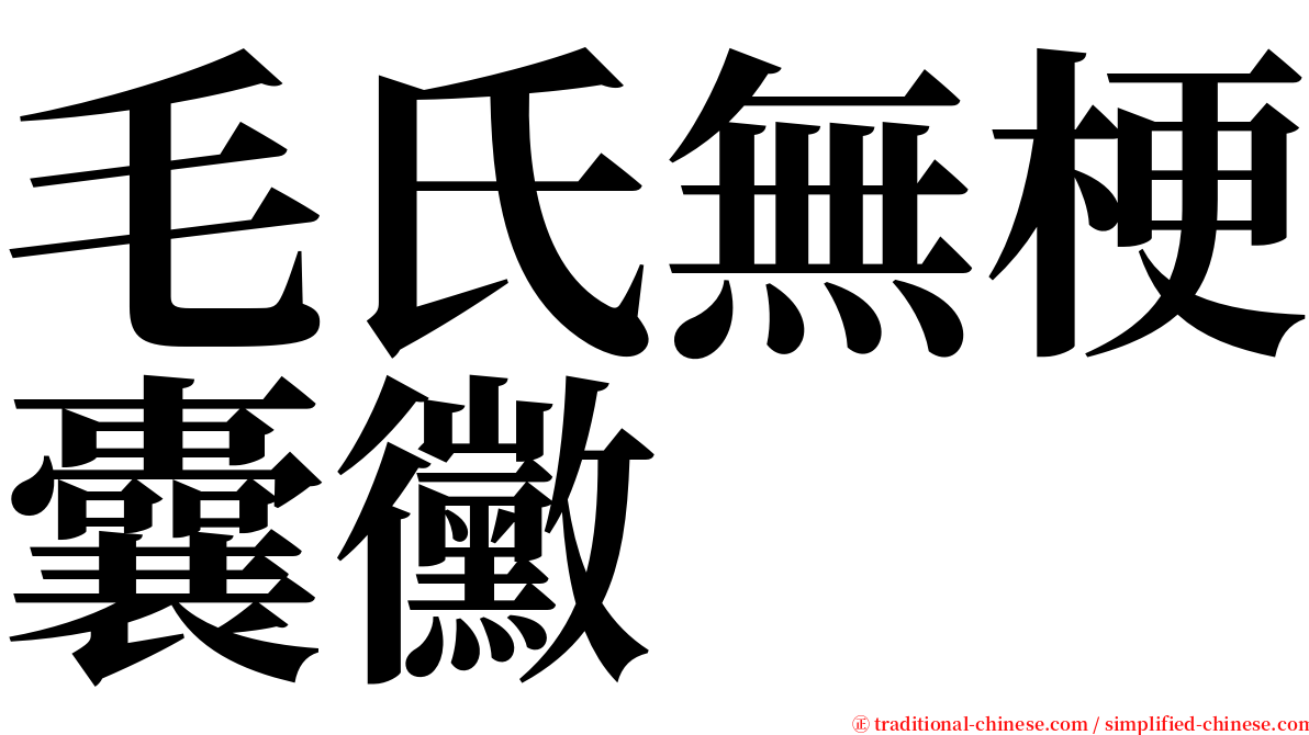 毛氏無梗囊黴 serif font