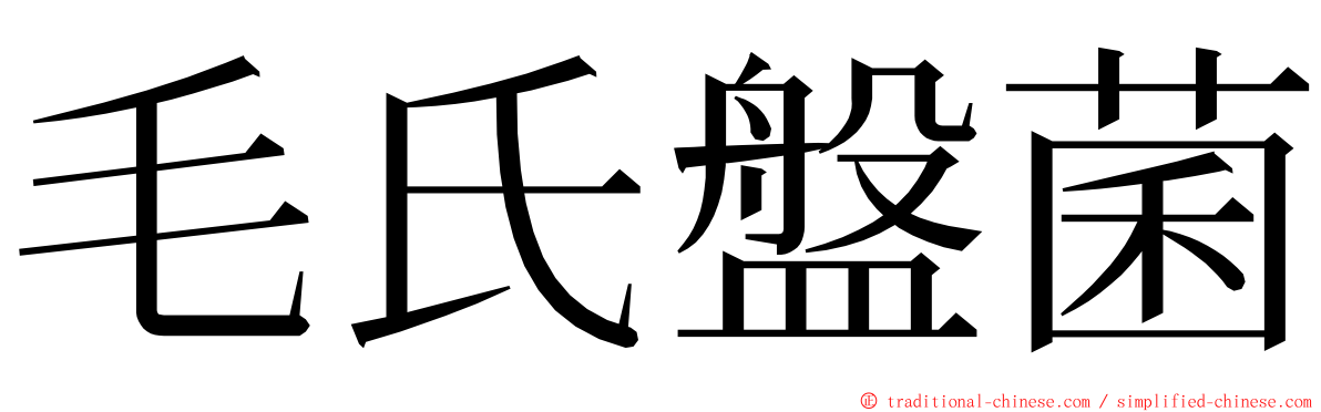 毛氏盤菌 ming font