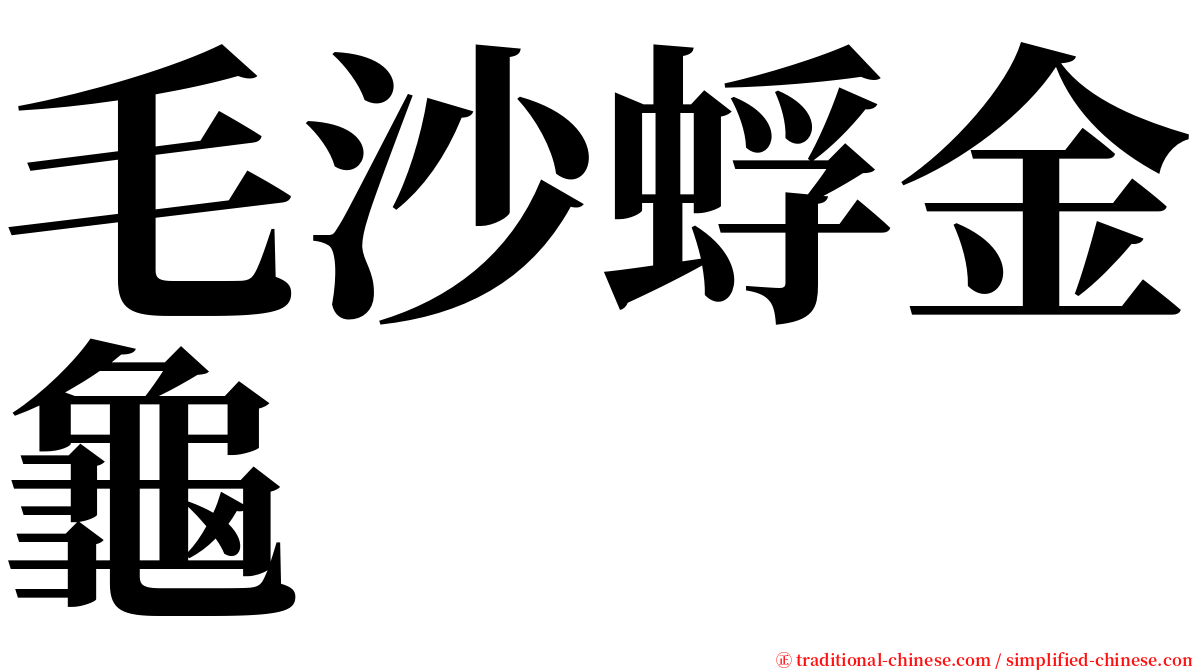 毛沙蜉金龜 serif font