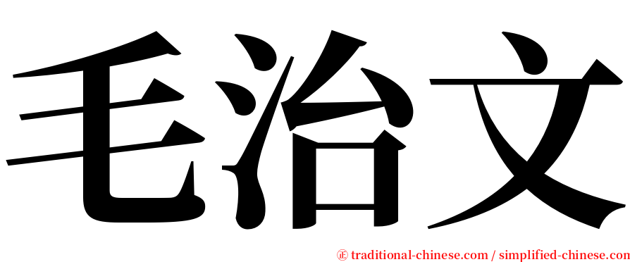 毛治文 serif font