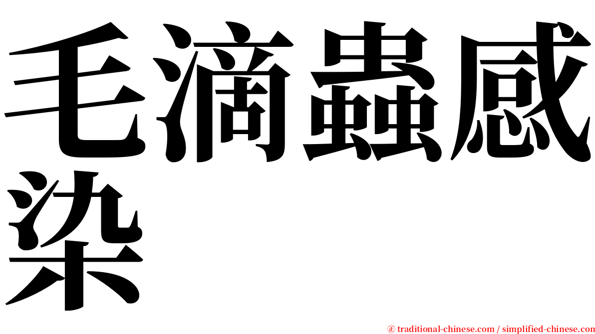 毛滴蟲感染 serif font