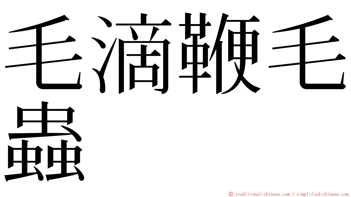 毛滴鞭毛蟲 ming font