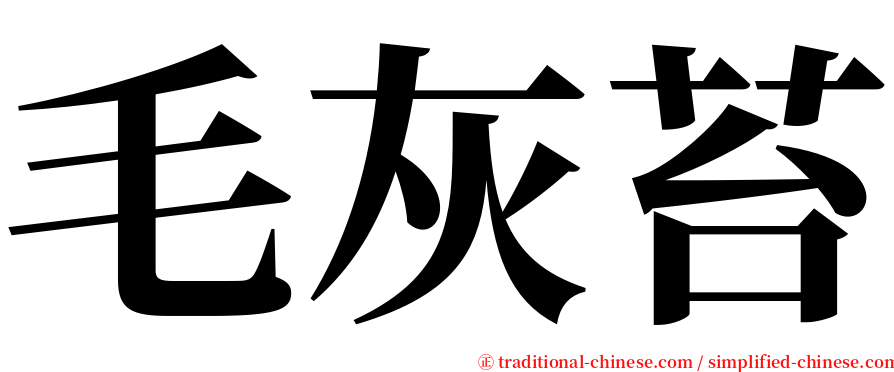 毛灰苔 serif font